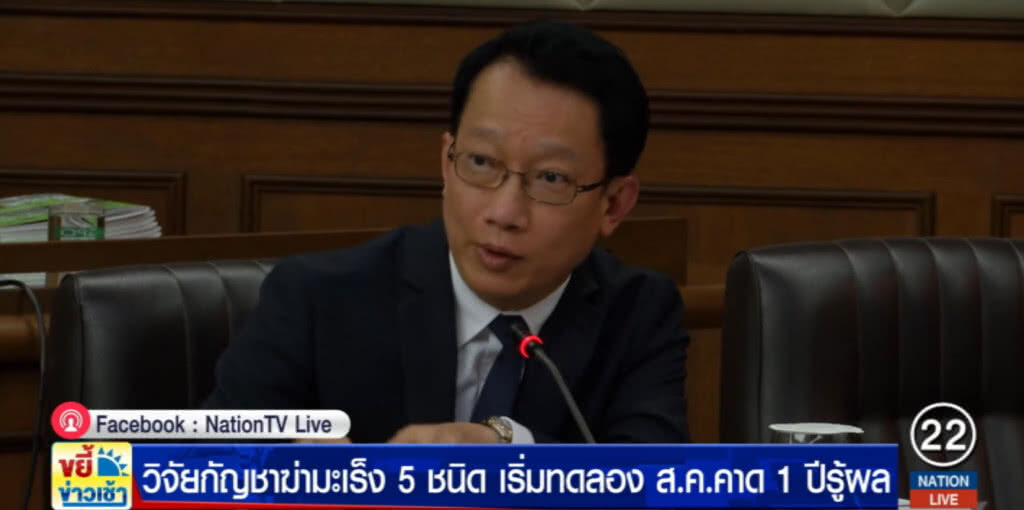เตรียมวิจัยกัญชาฆ่ามะเร็ง 5 ชนิดจริงหรือไม่ เริ่มทดลอง ส.ค.คาด 1 ปีรู้ผล