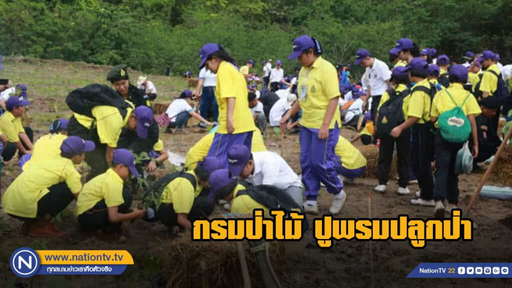 กรมป่าไม้ ปูพรมปลูกป่า "มิยาวากิ" 25,000 กล้า