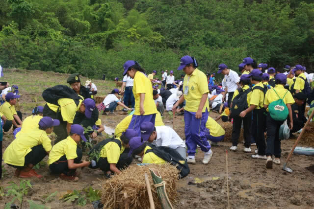 กรมป่าไม้ ปูพรมปลูกป่า "มิยาวากิ" 25,000 กล้า