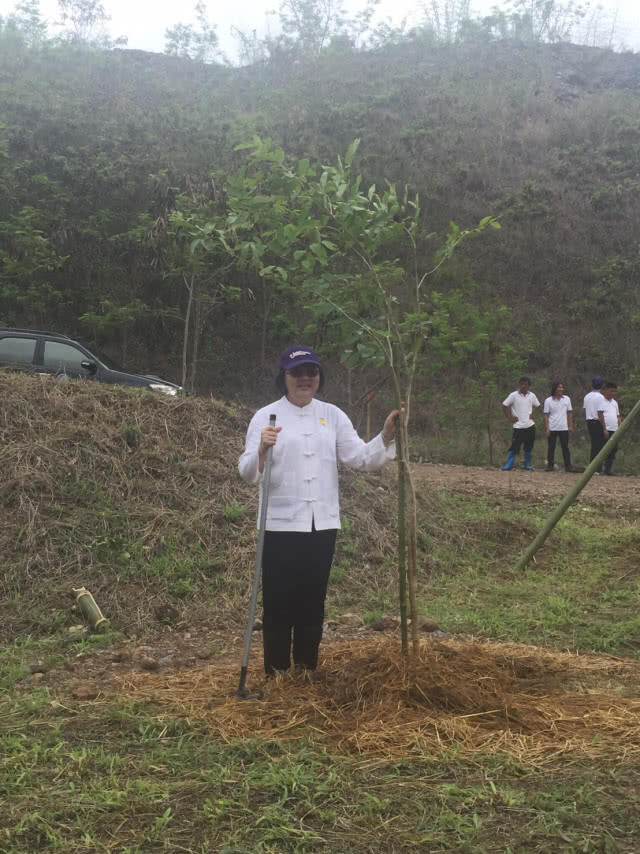 กรมป่าไม้ ปูพรมปลูกป่า "มิยาวากิ" 25,000 กล้า