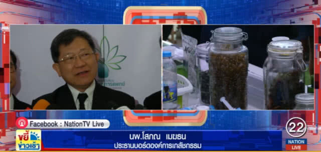 ย้ำกัญชายังไม่มีข้อมูลรักษา "เอชไอวี" ได้