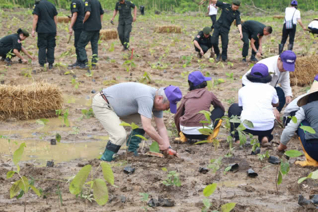 กรมป่าไม้ ปูพรมปลูกป่า "มิยาวากิ" 25,000 กล้า
