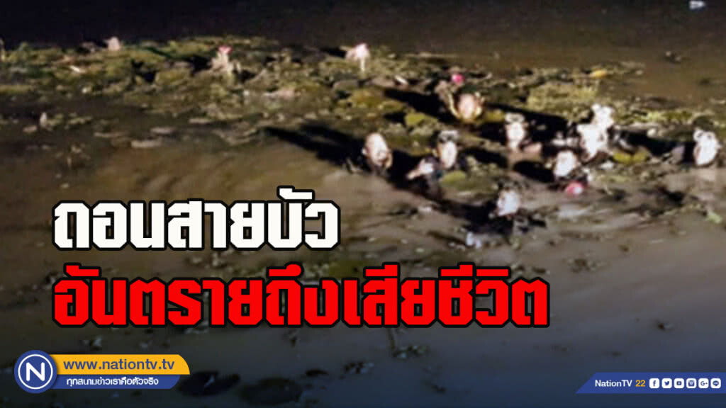 "หนุ่มก่อสร้าง"ถอนสายบัวอันตรายถึงเสียชีวิต