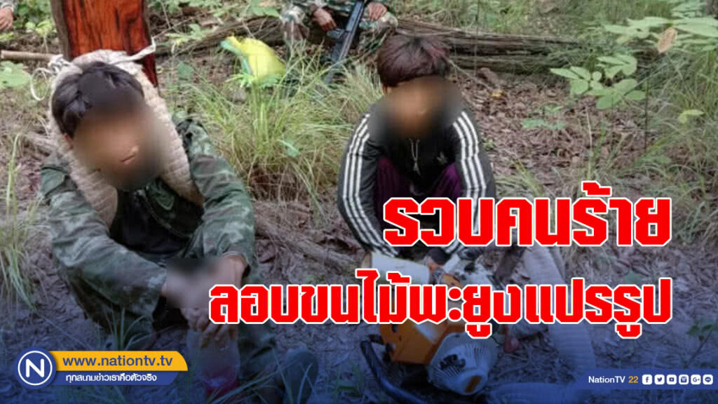 จับกุม​ 2​ คนร้ายลอบขนไม้พะยูงแปรรูปกลางป่าหนองกระพ้อ