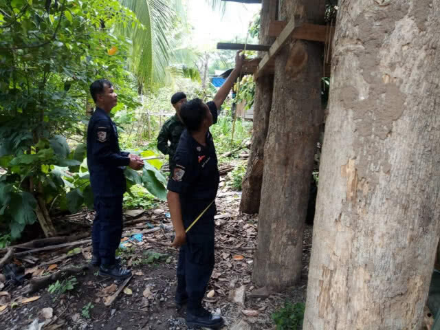 ยึดไม้สัก​ 10​ ท่อน​ ลอบตัดจากดอยหลวง