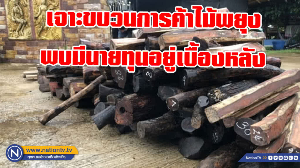 พญาเสือฯ เจาะขบวนการค้าไม้พยุง จากฉะเชิงเทราถึงบึงกาฬ พบมีนายทุนอยู่เบื้องหลัง