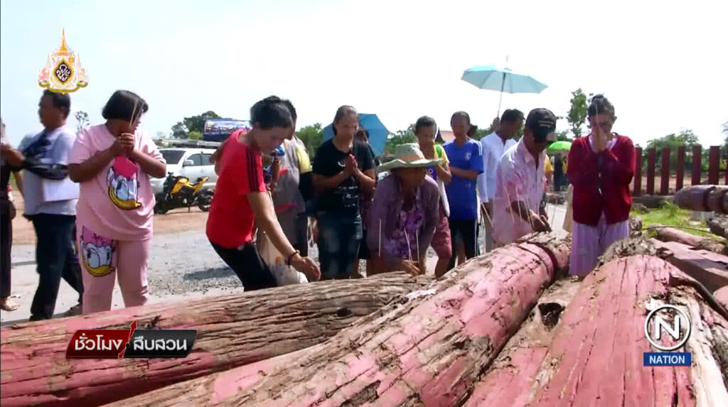 (คลิปข่าว) จุดธูปสาปแช่ง "กรมศิลป" ตัดหัวเสาตะลุงเพนียดคล้องช้าง