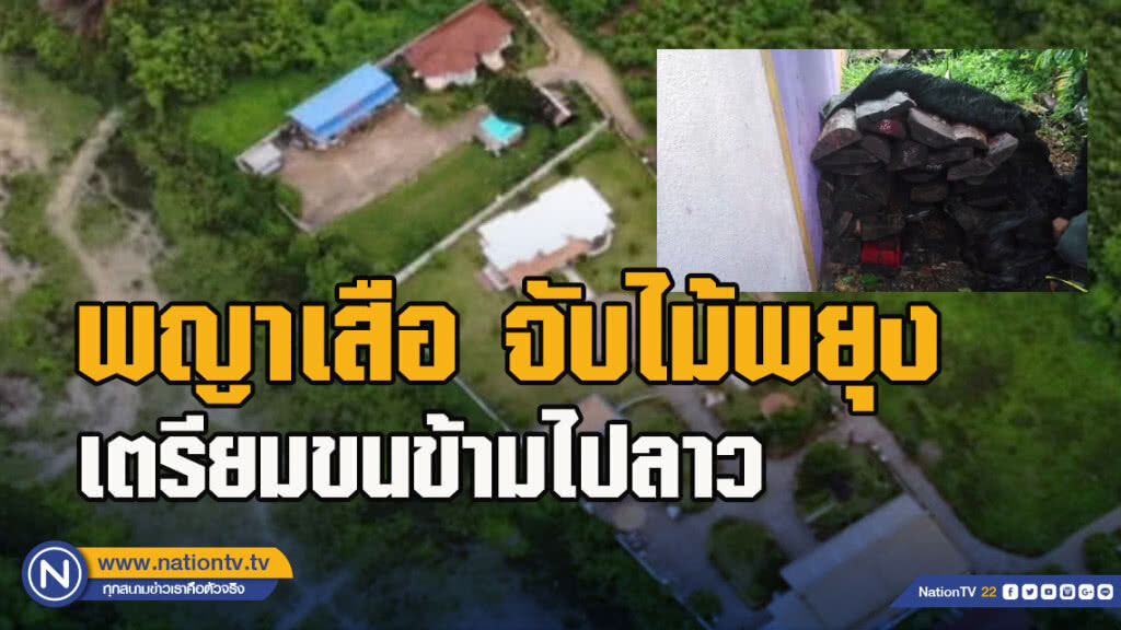 พญาเสือจับไม้พยุงเตรียมขนข้ามไปลาว พญาเสือจับไม้พยุงเตรียมขนข้ามไปลาว