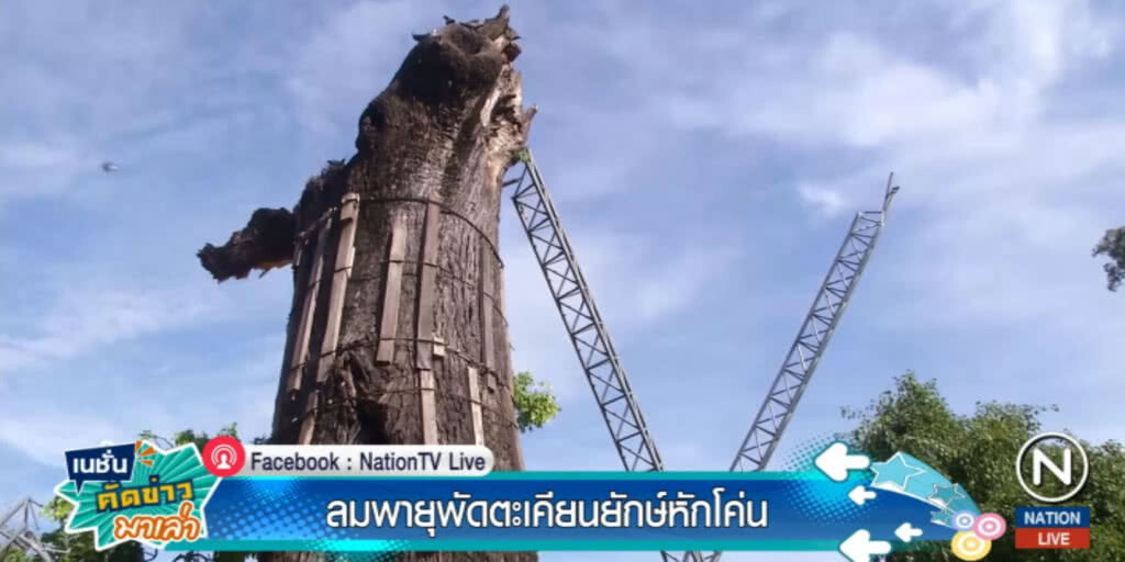 พายุพัดถล่มพิจิตร "ตะเคียน" โบราณอายุกว่า 300 ปีหักโค่น พายุพัดถล่มพิจิตร "ตะเคียน" โบราณอายุกว่า 300 ปีหักโค่น