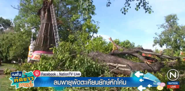 พายุพัดถล่มพิจิตร "ตะเคียน" โบราณอายุกว่า 300 ปีหักโค่น