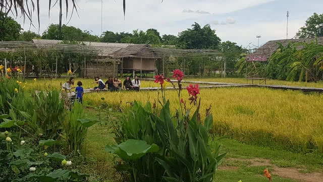 ท่องเที่ยวเชิงอนุรักษ์ หมู่บ้านอนุรักษ์ควายไทย กินแฟดูฟาย