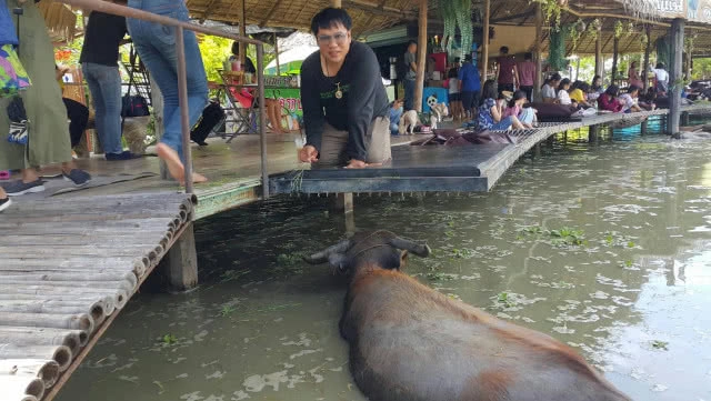 ท่องเที่ยวเชิงอนุรักษ์ หมู่บ้านอนุรักษ์ควายไทย กินแฟดูฟาย