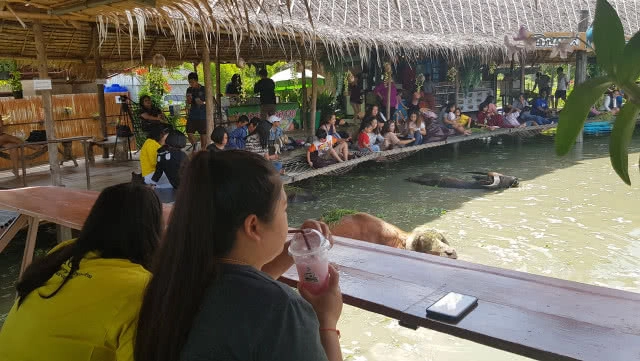 ท่องเที่ยวเชิงอนุรักษ์ หมู่บ้านอนุรักษ์ควายไทย กินแฟดูฟาย