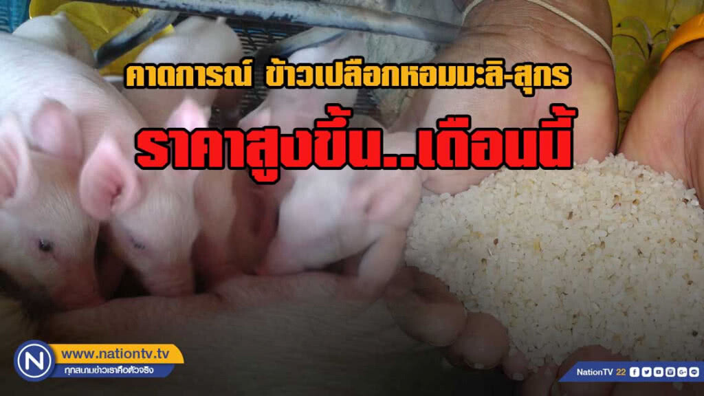 ธ.ก.ส. คาด มิ.ย.ข้าวเปลือกหอมมะลิ-สุกร ราคาสูงขึ้น