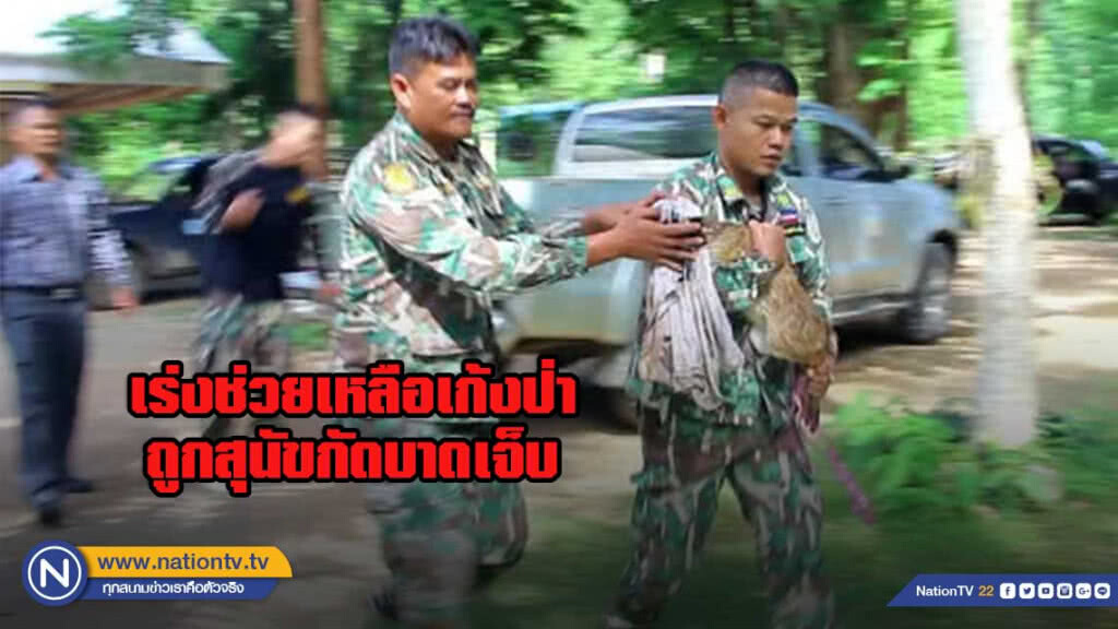 เร่งช่วยเหลือเก้งป่า2ตัว ถูกสุนัขกัดบาดเจ็บ