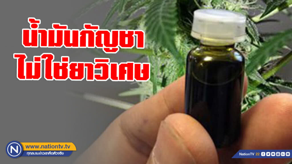 น้ำมันกัญชาไม่ใช่ยาวิเศษ น้ำมันกัญชาไม่ใช่ยาวิเศษ