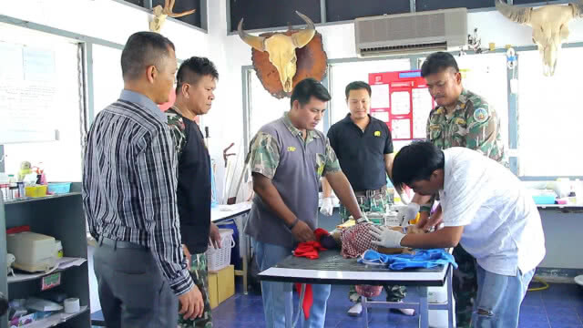 เร่งช่วยเหลือเก้งป่า2ตัว ถูกสุนัขกัดบาดเจ็บ