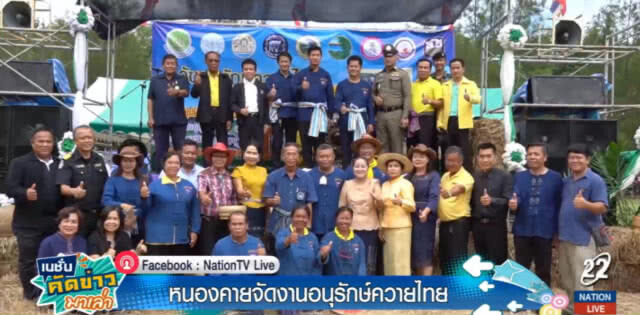 หนองคาย....จัดงานอนุรักษ์ควายไทย