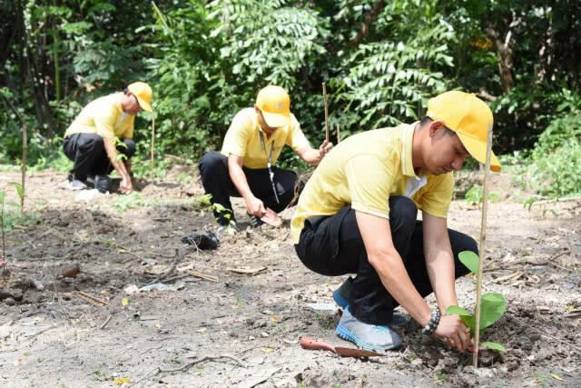 เสริมพื้นที่สีเขียว ลดโลกร้อน "คุ้งบางกระเจ้า"