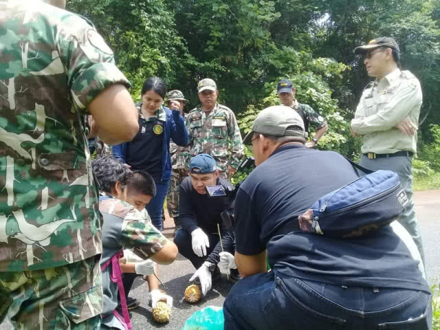 อุทยานฯ​ วอนชาวบ้านงดใช้ความรุนแรงไล่ช้างป่า