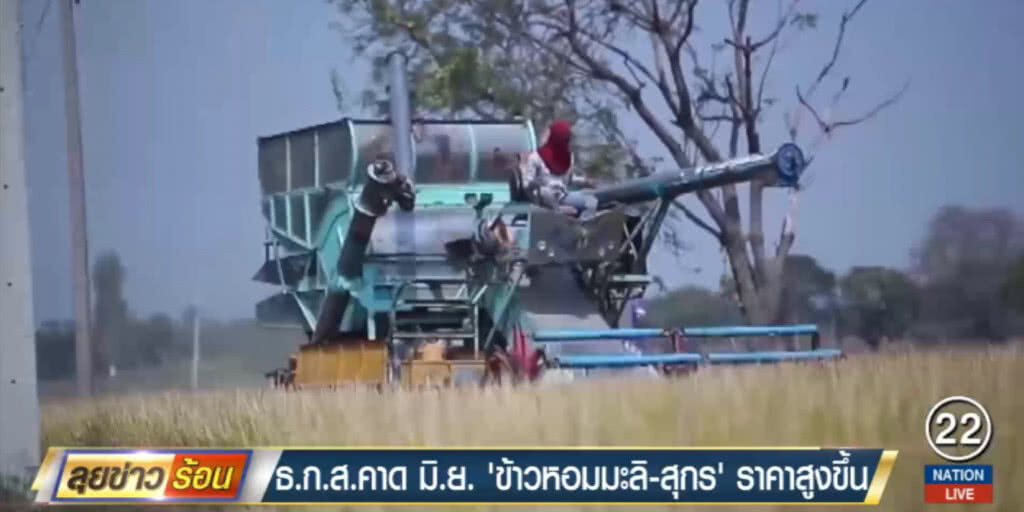 คาด!....เดือน มิ.ย.ข้าวหอมมะลิ หมู ราคาจะแพงขึ้น คาด!....เดือน มิ.ย.ข้าวหอมมะลิ หมู ราคาจะแพงขึ้น