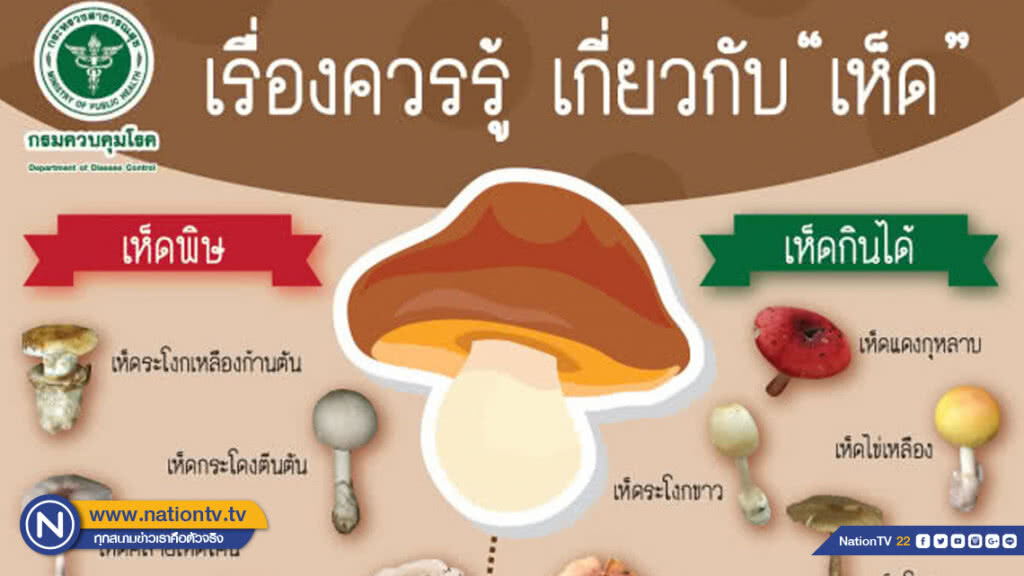 กรมควบคุมโรค เตือนเก็บหรือซื้อ​ 'เห็ดป่า'​ มาปรุงอาหาร อาจเป็น 'เห็ดพิษ'​ เสี่ยงเสียชีวิต