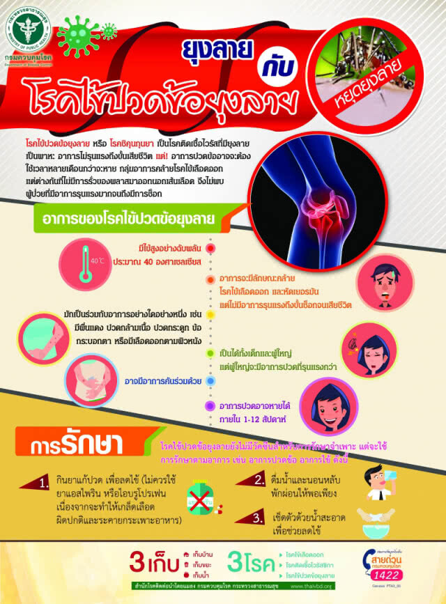 กรมควบคุมโรค เฝ้าระวังสถานการณ์ "โรคไข้ปวดข้อยุงลาย" ใกล้ชิด แนะมาตรการ 3 เก็บ ป้องกัน 3 โรค