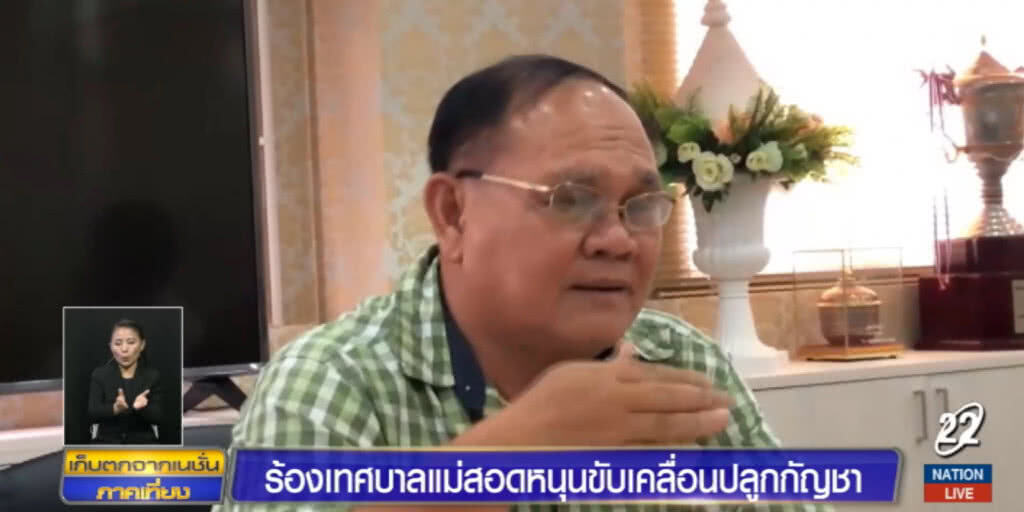 สภากัญชา ร้องเทศบาลแม่สอด ขอสนับสนุนปลูกกัญชา สภากัญชา ร้องเทศบาลแม่สอด ขอสนับสนุนปลูกกัญชา