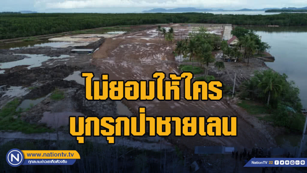 ฉลามขาวยืนยันไม่ยอมให้ใครบุกรุกป่าชายเลน