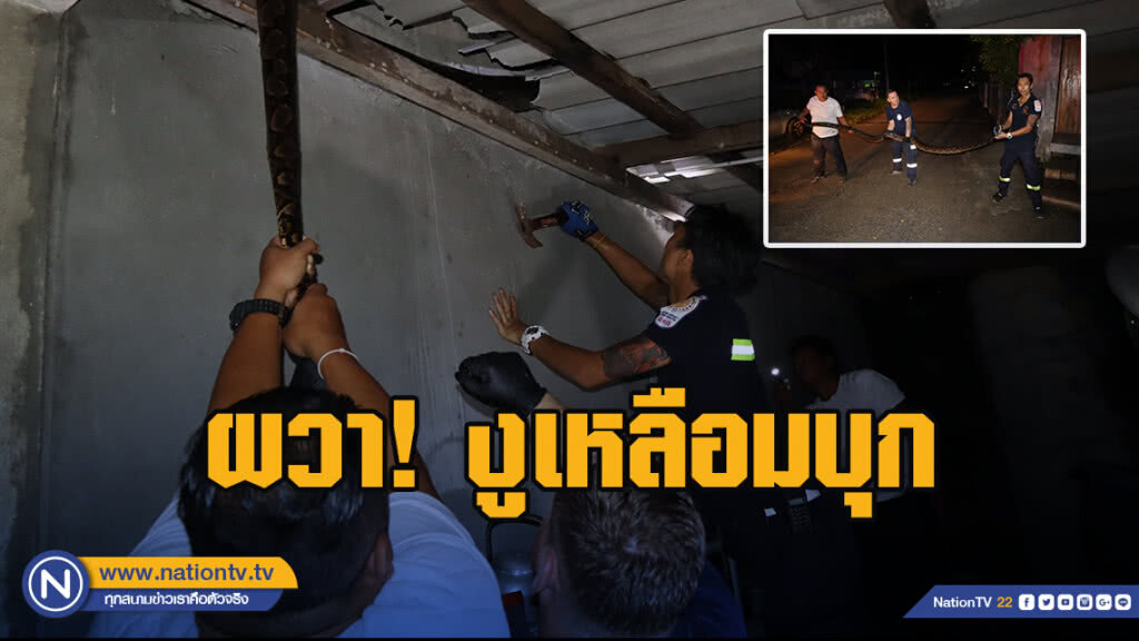 ผวา! งูเหลือม ยาว 4 เมตร บุกปีนหลังคาหลังบ้านกลางดึก