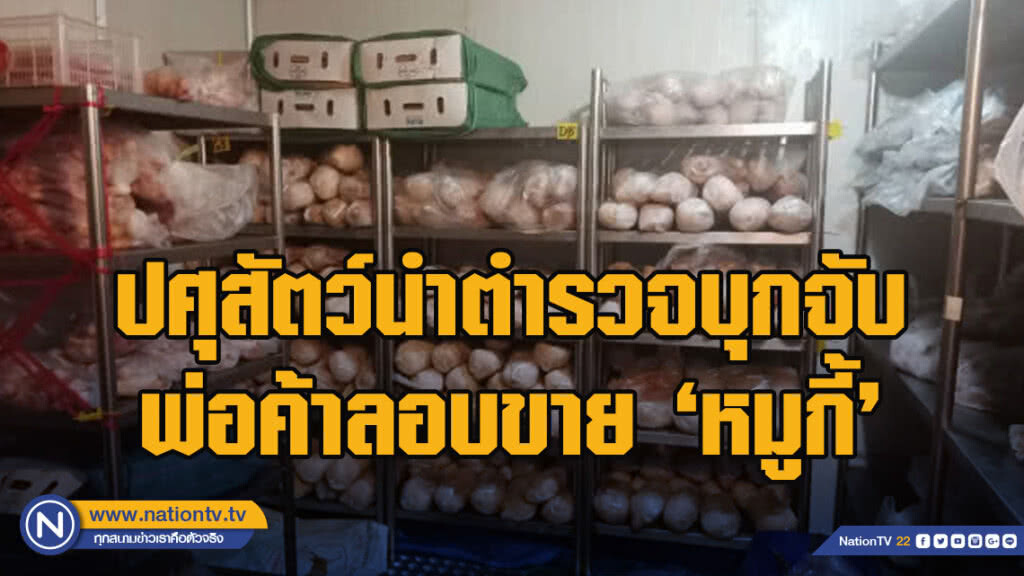 ปศุสัตว์นำตำรวจบุกจับพ่อค้าลอบขาย ‘หมูกี้’