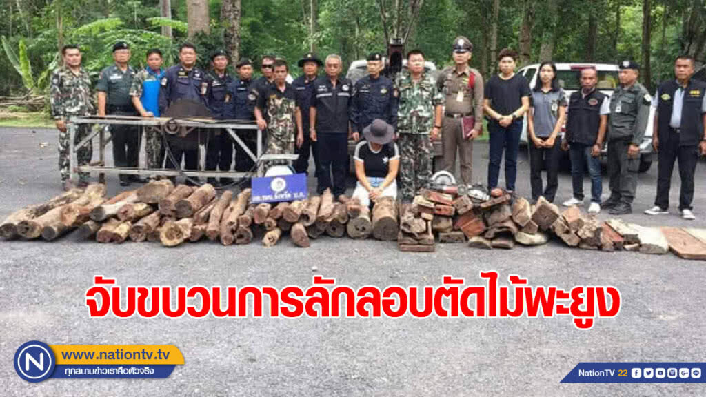 "พญาเสือ" ซ้อนแผน!​​ บุกจับขบวนการลักลอบตัดไม้พะยูงในพื้นที่ป่ารอยต่อ 5 จังหวัดได้ที่​ จ.บึงกาฬ​