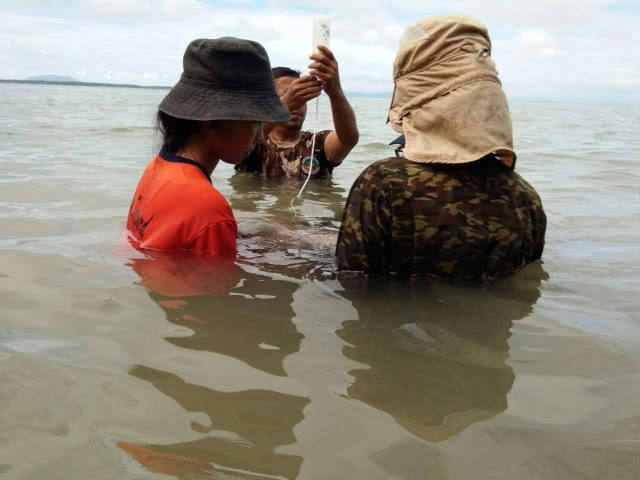 ชมความน่ารัก "มาเรียม" พะยูนน้อย ขวัญใจชาวโซเชียล