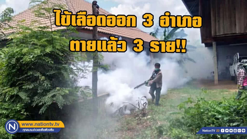 สั่งคุมเข้มไข้เลือดออก 3 อำเภอ ตายแล้ว 3 ราย!!