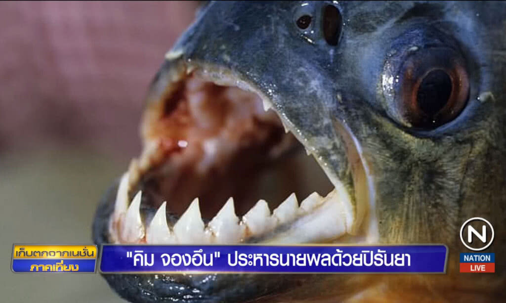 "คิม จองอึน" ประหารนายพลด้วยปลาปิรันยา "คิม จองอึน" ประหารนายพลด้วยปลาปิรันยา