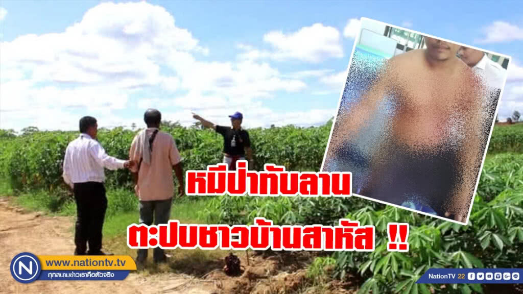หมีป่าทับลาน ตะปบชาวบ้านสาหัส !! หมีป่าทับลาน ตะปบชาวบ้านสาหัส !!
