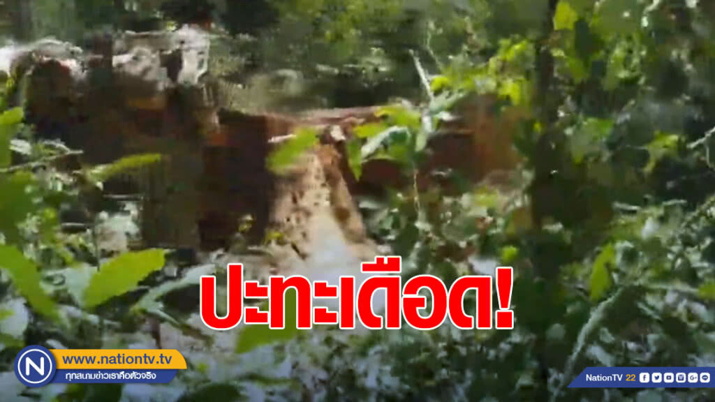 หน่วย SMART Patrol ปะทะเดือดกองกำลังคุ้มกันตัดไม้ชายแดน