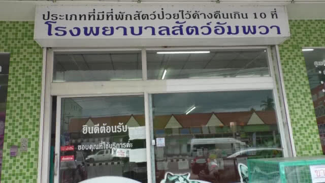 ปิดตำนาน "มัชเฌ" สุนัขแสนรู้! ไกด์นำเที่ยวตลาดร่มหุบ