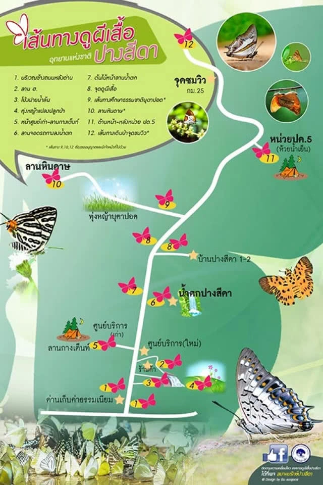 เทศกาลดูผีเสื้อปางสีดา ปี 2562 ณ อุทยานแห่งชาติปางสีดา จังหวัดสระแก้ว