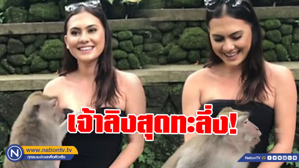 เจ้าลิงทะลึ่ง! ทำเนียนนั่งตัก ฉวยโอกาสดึงเกาะอกสาว เจ้าลิงทะลึ่ง! ทำเนียนนั่งตัก ฉวยโอกาสดึงเกาะอกสาว