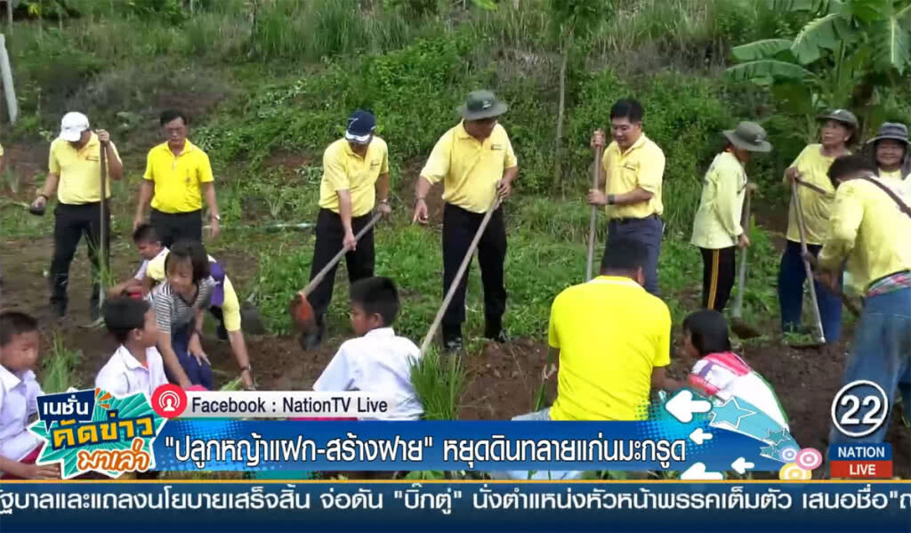 "ปลูกหญ้าแฝก-สร้างฝาย" หยุดดินทลายแก่นมะกรูด