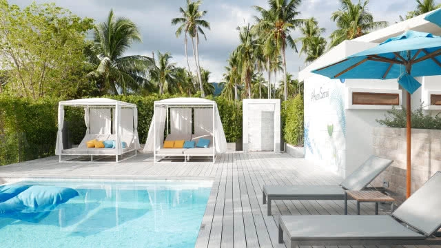 ที่นี่มีหมูทะเล!!! มาใช้ไลฟ์สไตล์ สุดชิคที่เกาะสมุยกันดีกว่า....