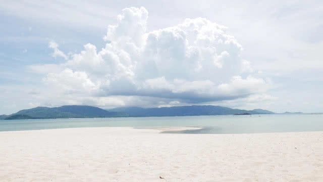 ที่นี่มีหมูทะเล!!! มาใช้ไลฟ์สไตล์ สุดชิคที่เกาะสมุยกันดีกว่า....