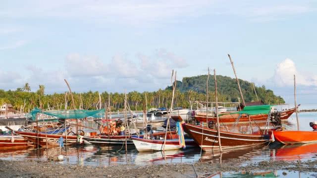 ที่นี่มีหมูทะเล!!! มาใช้ไลฟ์สไตล์ สุดชิคที่เกาะสมุยกันดีกว่า....