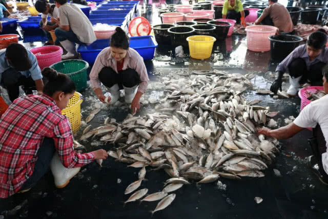 ราคาอาหารทะเลสูงขึ้น​ หลังเมียนมาปิด​อ่าว​ 3​ เดือน