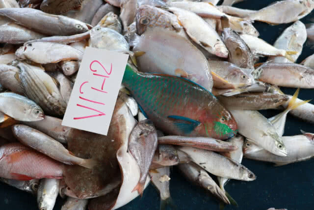 ราคาอาหารทะเลสูงขึ้น​ หลังเมียนมาปิด​อ่าว​ 3​ เดือน