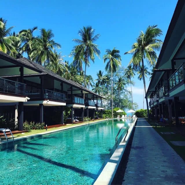 ที่นี่มีหมูทะเล!!! มาใช้ไลฟ์สไตล์ สุดชิคที่เกาะสมุยกันดีกว่า....