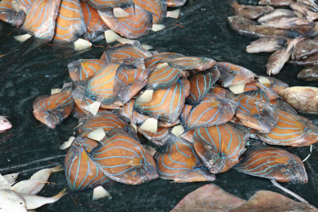 ราคาอาหารทะเลสูงขึ้น​ หลังเมียนมาปิด​อ่าว​ 3​ เดือน