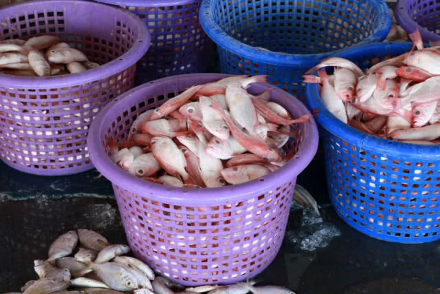 ราคาอาหารทะเลสูงขึ้น​ หลังเมียนมาปิด​อ่าว​ 3​ เดือน
