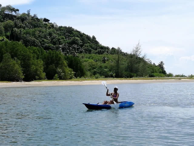 ที่นี่มีหมูทะเล!!! มาใช้ไลฟ์สไตล์ สุดชิคที่เกาะสมุยกันดีกว่า....